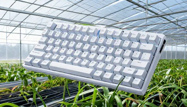 Rog KeyBoard选购指南:应用场景分析与使用建议